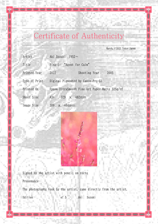 「ピンク -1-」寛ぎの使者