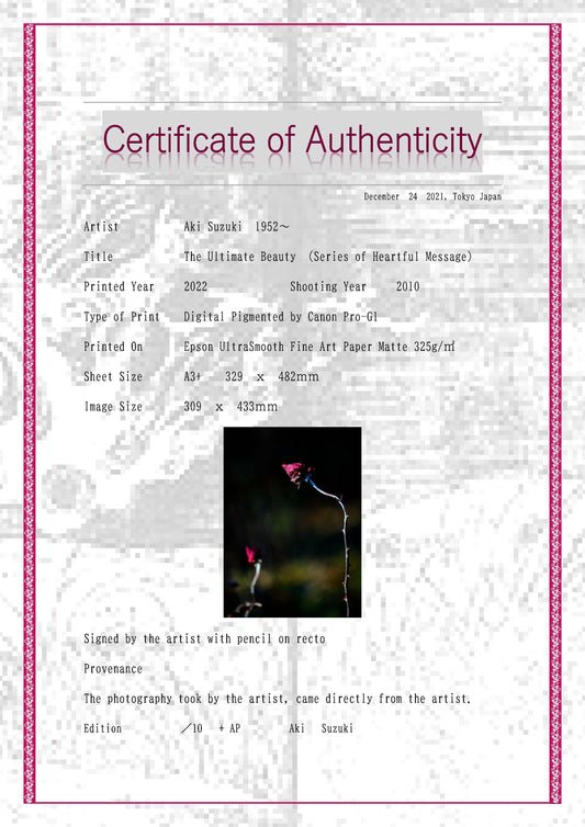 「極み」-メッセージ-