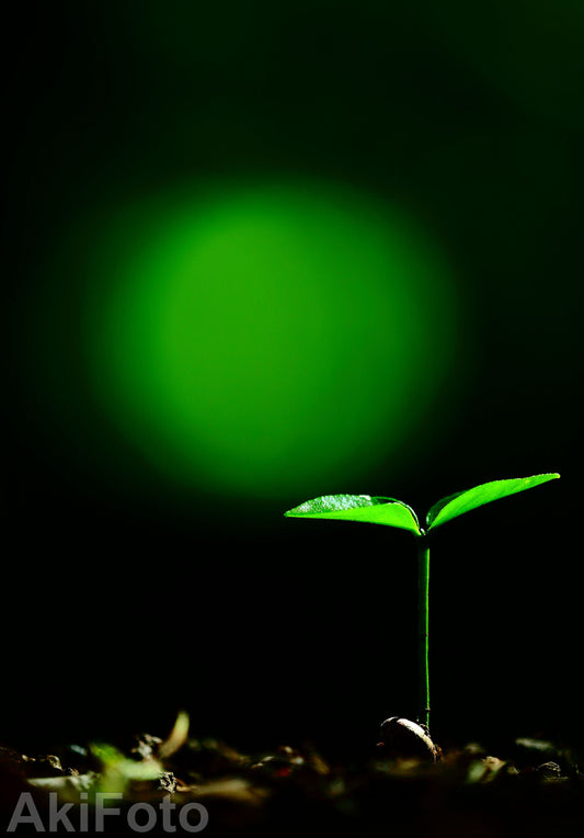 「悠久」 -メッセージ-